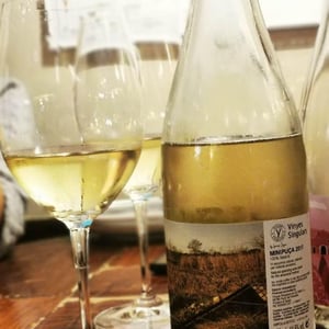 Minipuça - Vinyes Singulars - Ignasi Segui 
