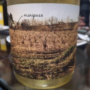 Vinyes Singulars - Ignasi Segui - Minipuça