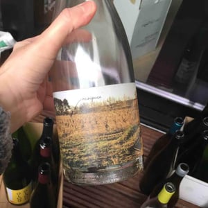 Minipuça - Vinyes Singulars - Ignasi Segui 
