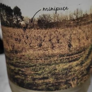 Minipuça - Vinyes Singulars - Ignasi Segui 