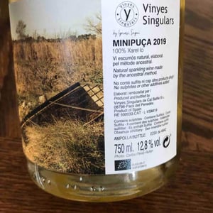 Vinyes Singulars - Ignasi Segui - Minipuça