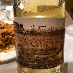 Minipuça - Vinyes Singulars - Ignasi Segui 