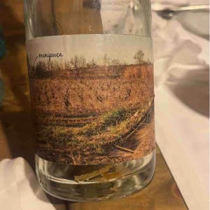 Minipuça - Vinyes Singulars - ignasi-segui