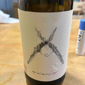 Minimaliszt - Liszt Wein - Theresa und Bernhad Liszt -2020