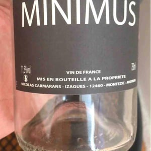 Nicolas Carmarans - Nicolas Carmarans - Minimus Rosé