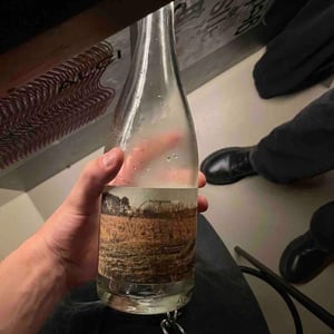 Minipuça - Vinyes Singulars - Ignasi Segui 