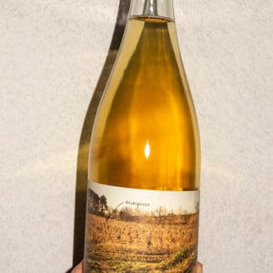 Minipuça - Vinyes Singulars - ignasi-segui