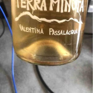 Terra Minuta - Valentina Passalacqua - Valentina Passalacqua 