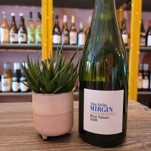Mirgin Cava Gran Reserva Brut Nature - El Celler de les Aus - josep-maria-mireia-pujol-busquets -2016