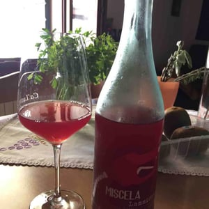Lammidia - Marco Giuliani & Davide Gentile - Miscela