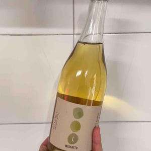 Misfatto - Lusvardi Wine - Andrea Lusvardi 