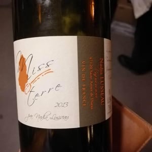 Miss Terre - Château Haut Lavigne - nadia-lusseau