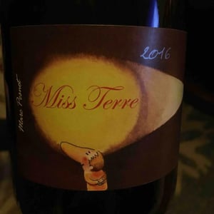 Miss Terre 16
