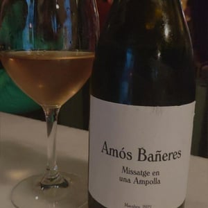 Missatge en una Ampolla - Vinya Oculta - Amós Bañeres 