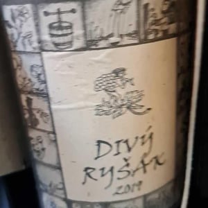 Divy Rysák - Richard Stavek - Richard Stavek 