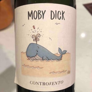 Moby Dick - Controvento - vincenzo-di-meo