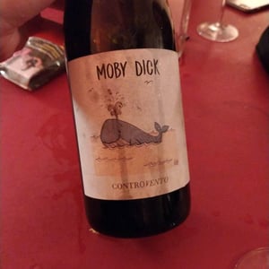 Moby Dick - Controvento - vincenzo-di-meo