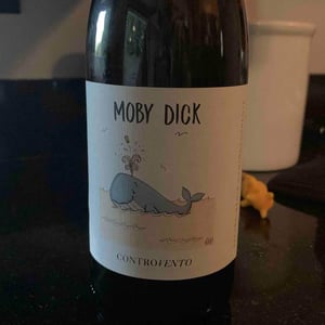 Moby Dick - Controvento - vincenzo-di-meo
