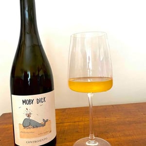 Moby Dick - Controvento - vincenzo-di-meo