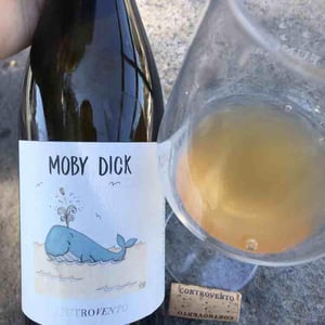Moby Dick - Controvento - vincenzo-di-meo