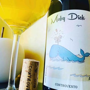 Moby Dick - Controvento - Vincenzo Di Meo 