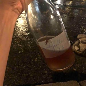 Mobylette - Domaine Muller-Koeberle - david-koeberle-si