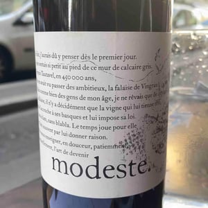 Modeste - Le Clos des Fées - herve-bizeul