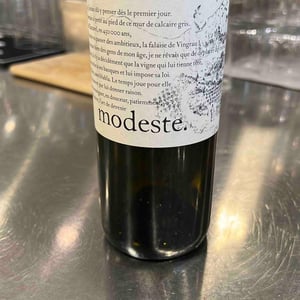 Modeste - Le Clos des Fées - herve-bizeul