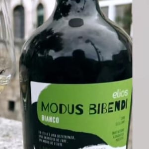 Modua bibendi - Elios - nicola-adamo-guido-grillo
