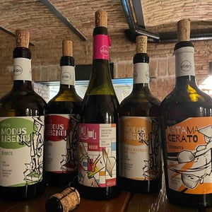 Modus Bibendi Macerato - Elios - nicola-adamo-guido-grillo