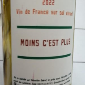 Moins C’est Plus - Le Jardin Super - Sebastien Godret -2021