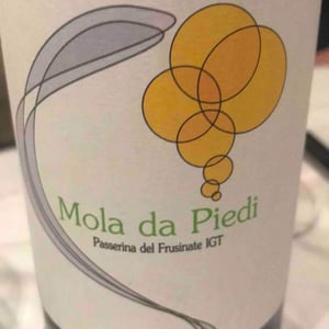 Mola Da Piedi Bianco - Azienda Agricola Maria Ernesta Berucci - Massimi Berucci 