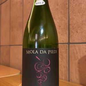 Mola Da Piedi Rosso - Azienda Agricola Maria Ernesta Berucci - massimi-berucci