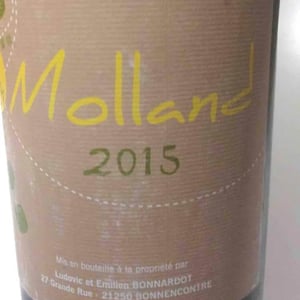 Molland - Domaine Bonnardot - Antoine, Ludovic & Emilien Bonnardot 