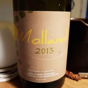 Molland - Domaine Bonnardot - antoine-ludovic-emilien-bonnardot