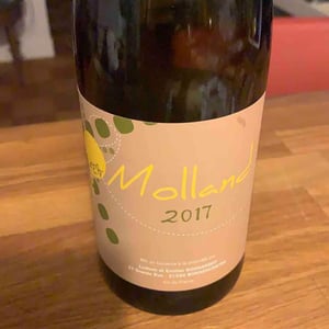 Molland - Domaine Bonnardot - Antoine, Ludovic & Emilien Bonnardot 