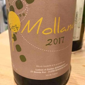 Molland - Domaine Bonnardot - Antoine, Ludovic & Emilien Bonnardot 