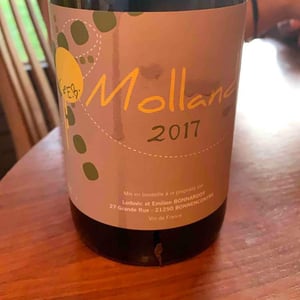 Molland - Domaine Bonnardot - Antoine, Ludovic & Emilien Bonnardot 