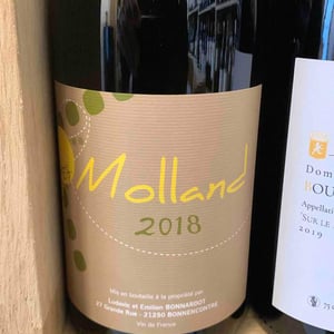 Molland - Domaine Bonnardot - antoine-ludovic-emilien-bonnardot