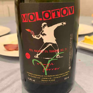 Molotov - Vinya Ferrer - ramon-vina-marcel-carrer -2021