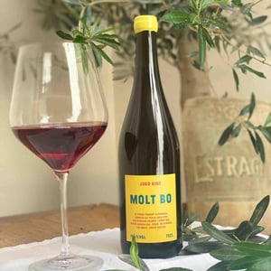 Molt Bo - Jugo Vins - charlie-prymaka -2021