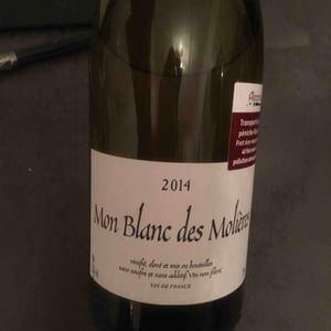 Mon Blanc des Molières 2014