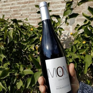 Mon - Monardiere - propriete