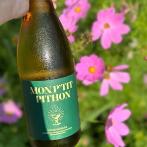 Mon P'tit Pithon Blanc - Olivier Pithon - Olivier Pithon 