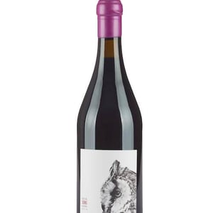 Sons Monastrell - Sicus - eduard-pie
