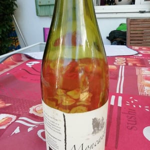 Moncailleux - Michel Guignier - michel-guignier