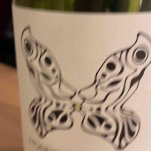 Mondeuse blanche - Domaine Jeremy Bricka - Vins Naturels D'Alp'titude - Jeremy Bricka -2022