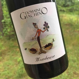 Mondeuse - Domaine Giachino - frederic-david-clement-giachino