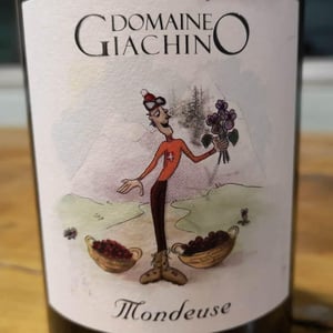 Mondeuse - Domaine Giachino - Frédéric, David & Clément Giachino 