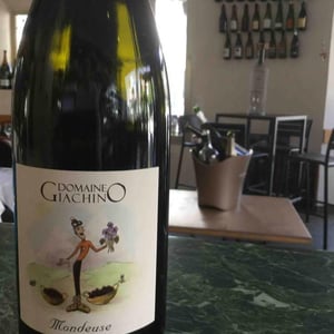 Mondeuse - Domaine Giachino - frederic-david-clement-giachino
